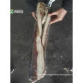 Fresh fillet giant squid wholesale price